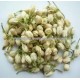 **HOT** Vietnam Dried Jasmine Flowers