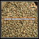 VIETNAM ROBUSTA RAW COFFEE BEANS TOP QUALITY BEST OFFER